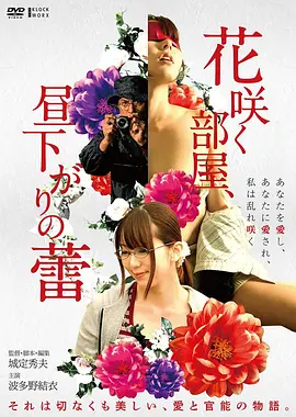 满江红 更新图